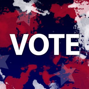 Vote In North Carolina Primary Elections