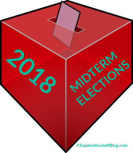 2018 Elections